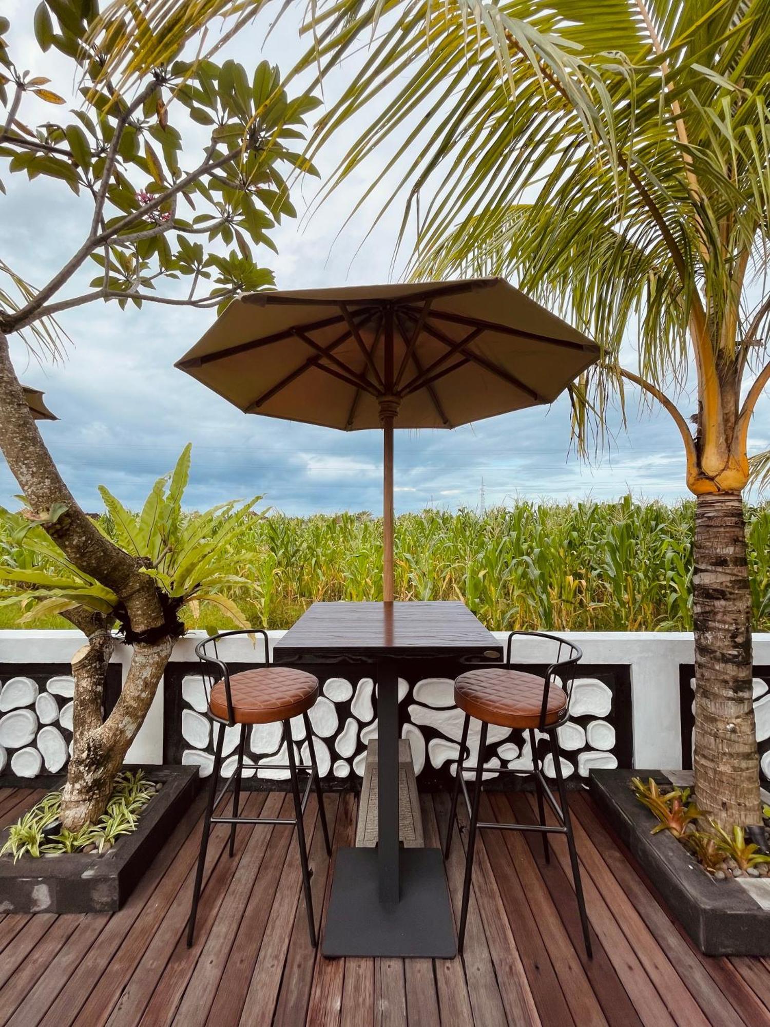 Surfers Villa Medewi Jembrana Exterior foto
